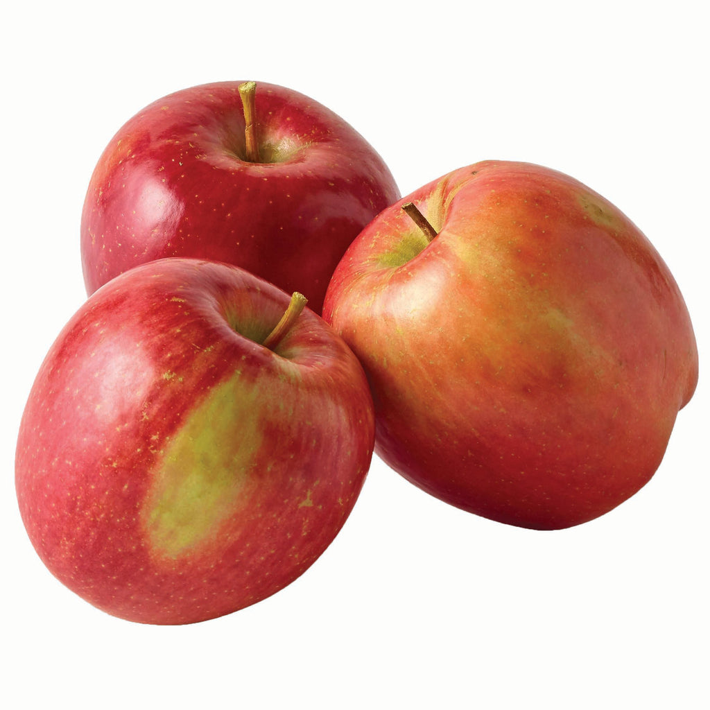 Apple - Fuji Large Size - Case (64 Apples per case) (jit) - Pantree Food Service