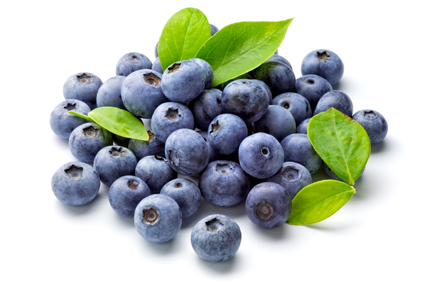 Blueberries (One Half Pint) (jit) - Pantree Food Service