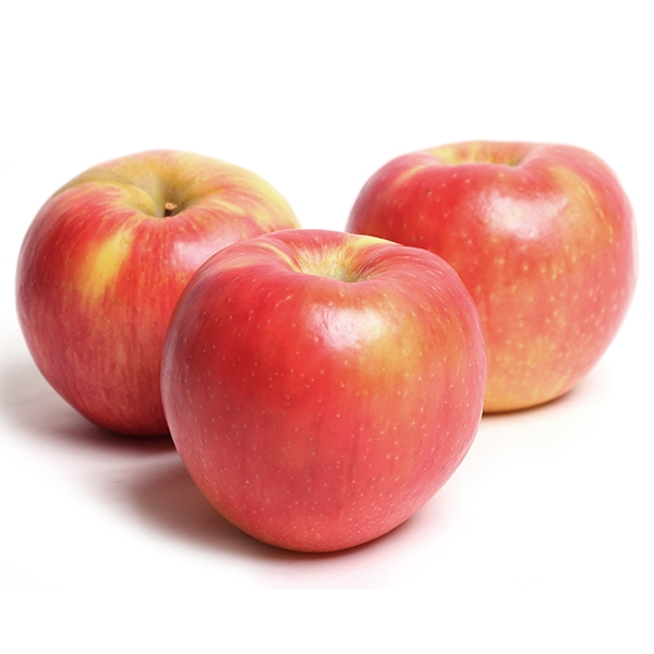 Apple - Honeycrisp Large Size (6 Apples Per Bag) (jit) - Pantree Food Service