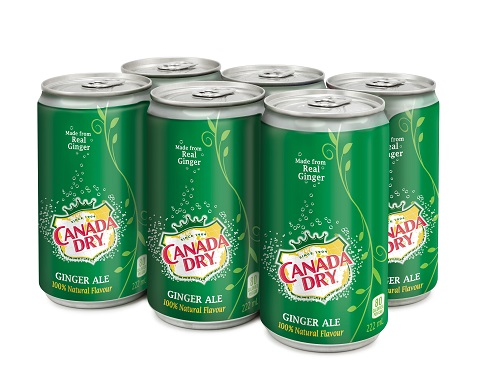 Canada Dry Ginger Ale Mini Cans (24-222 mL) - Pantree Food Service