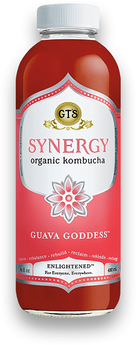 GT's Kombucha Synergy Guava Goddess (Organic, Kosher) - Refrigerated (12-480 mL) (jit) - Pantree Food Service