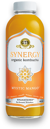 GT's Kombucha Synergy Mystic Mango (Organic, Kosher) - Refrigerated (12-480 mL) (jit) - Pantree Food Service