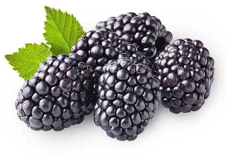 Blackberries - Case (12 Half Pints) (jit) - Pantree Food Service