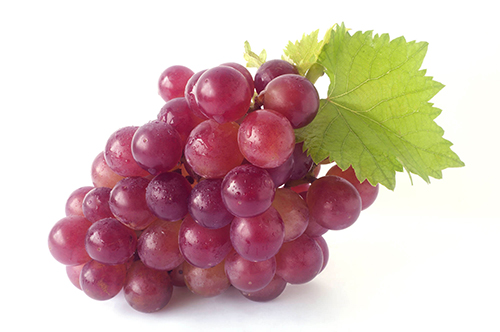 Grapes - Red (2lb bag) (jit) - Pantree Food Service