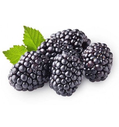 Blackberries  (One Half Pint) (jit) - Pantree Food Service