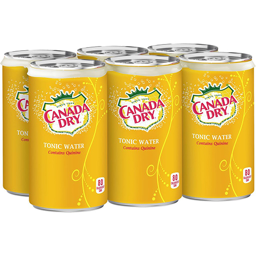 Canada Dry Tonic Water Mini Cans (24-222 mL) - Pantree Food Service