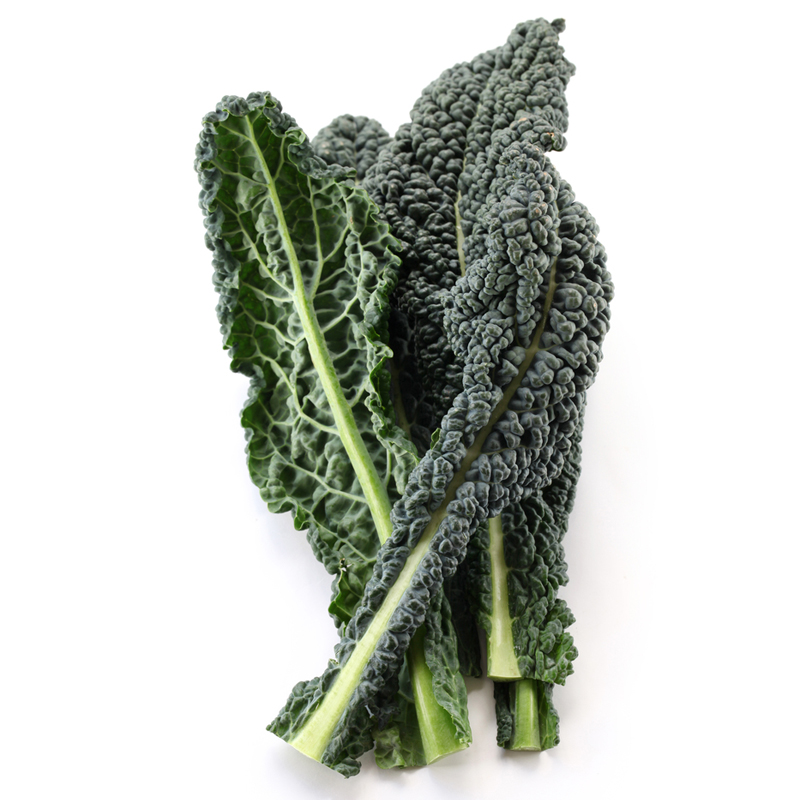 Black Kale (12 Bunches Per Case) (jit) - Pantree Food Service
