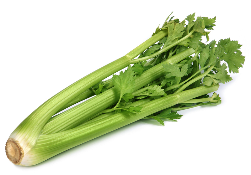 Celery (24 Stalks Per Case) (jit) - Pantree Food Service