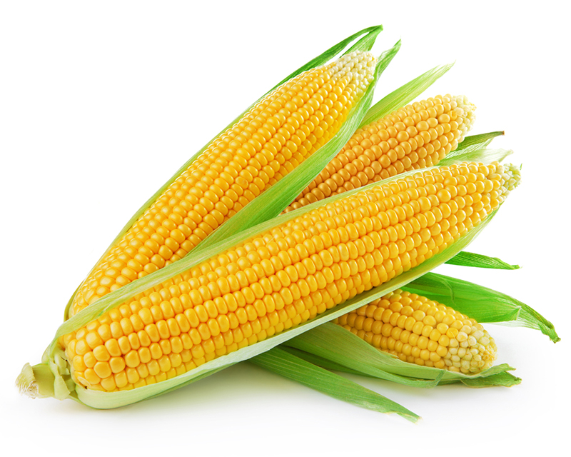 Corn (48 Pieces Per Case) (jit) - Pantree Food Service