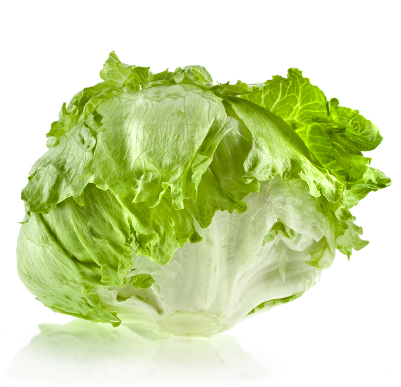 Iceberg Lettuce (24 Heads Per Case) (jit) - Pantree Food Service