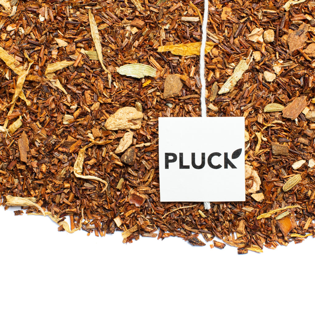 Pluck - Gingerbread Spice (30 bags) - Pantree Food Service