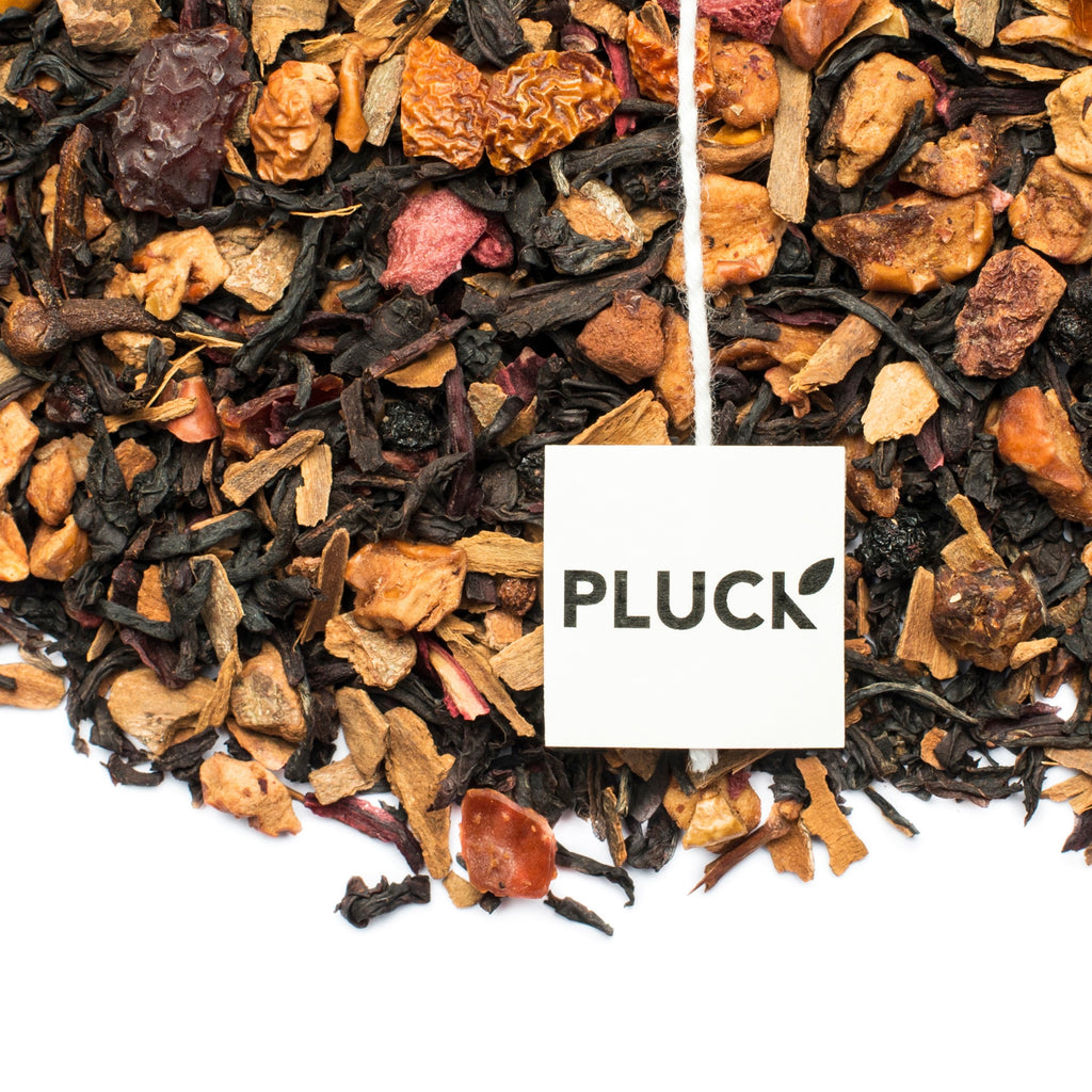 Pluck - Holiday Apple Spice (30 bags) - Pantree Food Service
