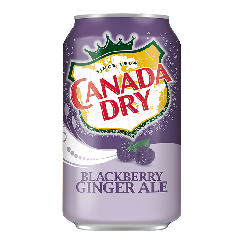 Canada Dry Ginger Ale Blackberry (12x355ml) - Pantree Food Service