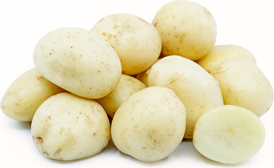 Potatoes White - (50 lb Bag) (jit) - Pantree Food Service