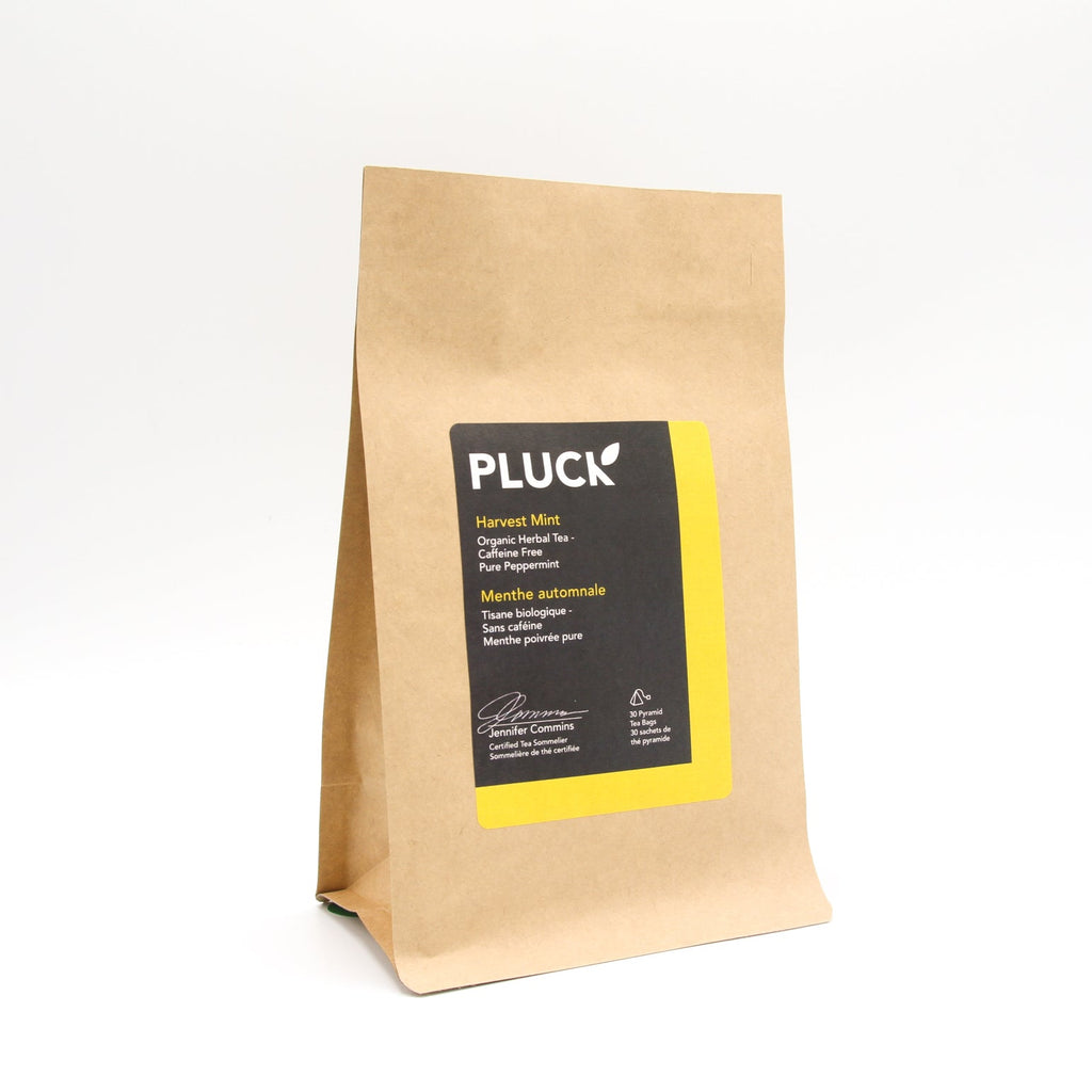 Pluck - Harvest Mint (30 bags) - Pantree Food Service