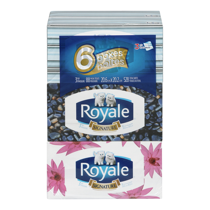 Royale Facial Tissue 88s (6 - 6 ea (36 boxes)) - Pantree Food Service