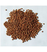 Quality Brown Lentils (4.98 kg) (jit) - Pantree Food Service