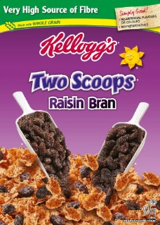 Kellogg's Cereal Raisin Bran Original (12-425 g) (jit) - Pantree Food Service