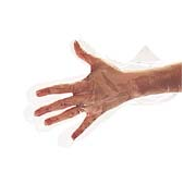 Clear Poly Glove Large Disposable  (500 Per Box) (jit) - Pantree Food Service