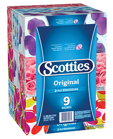 Scotties 2 Ply Facial Tissues (36x100) - Pantree Food Service