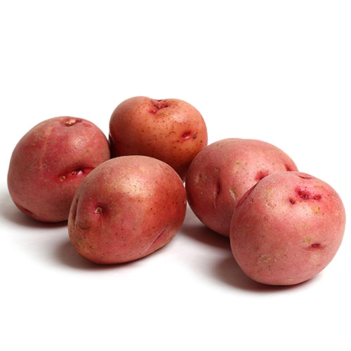 Potatoes Red - Case (50 lb Bag) (jit) - Pantree Food Service