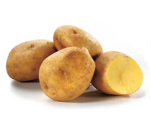 Potatoes Yukon Gold - Case (50 lbs Per Case) (jit) - Pantree Food Service