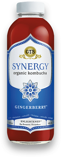 GT's Kombucha Synergy Gingerberry (Organic, Kosher) - Refrigerated (12-480 mL) (jit) - Pantree Food Service