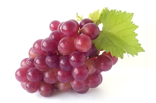 Grapes - Red - Case (8 x 2lb Bags Per Case) (jit) - Pantree Food Service