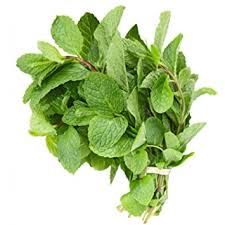 Fresh Mint (1 bunch) (jit) - Pantree Food Service