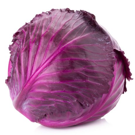 Red Cabbage (1 Head) (jit) - Pantree Food Service
