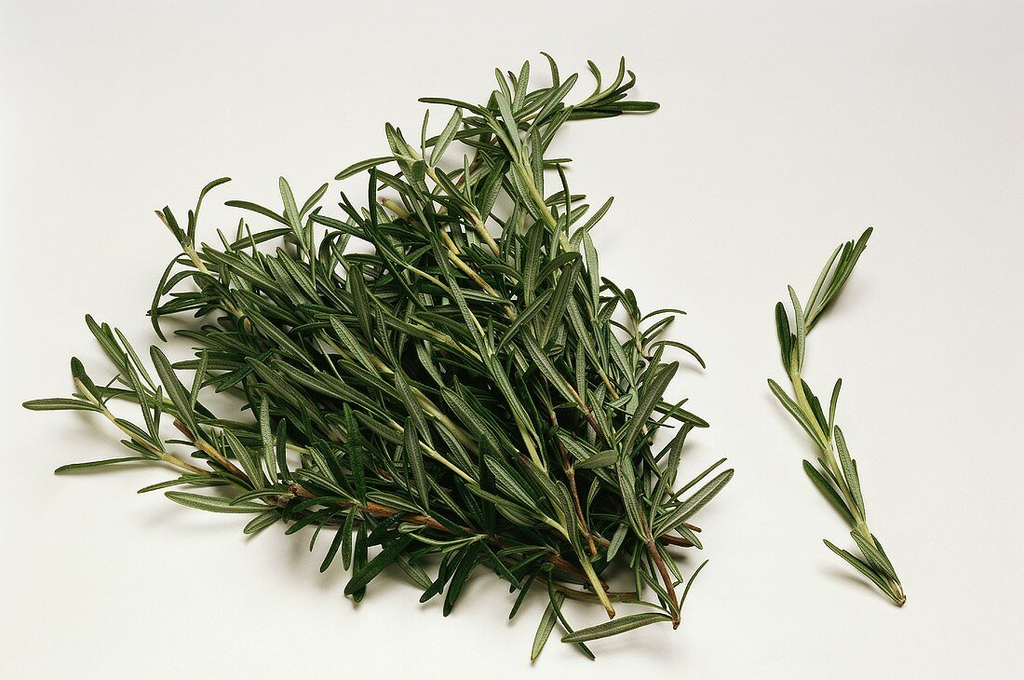 Fresh Rosemary (1 - Bunch) (jit) - Pantree Food Service