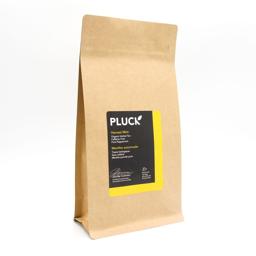 Pluck - LARGE BAG - Harvest Mint (60 bags) - Pantree Food Service